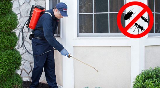 Kalecik Kemirgen İlaçlama böcek ilaçlama ve haşere kontrolü — ilaclama-tr.com